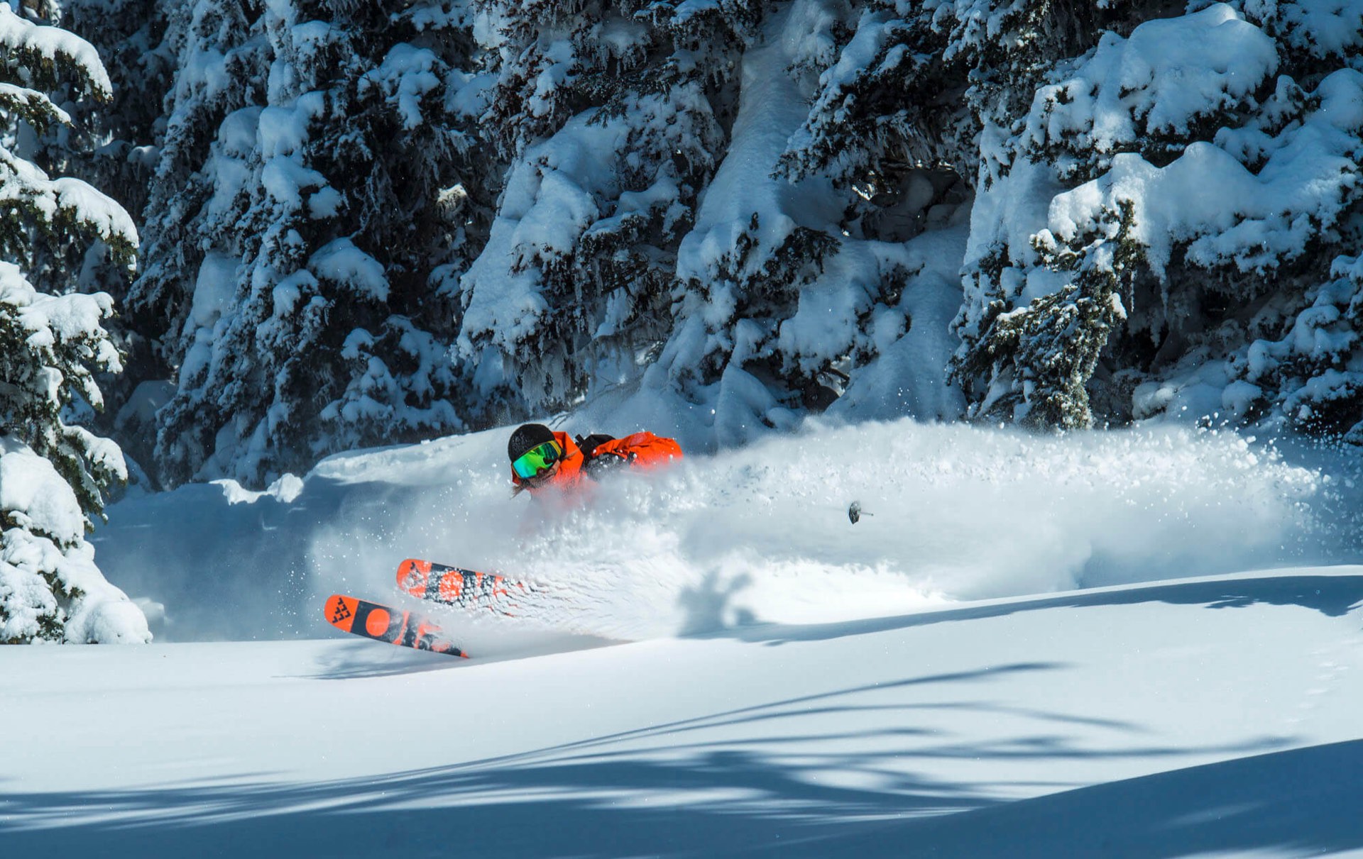 Silvertip Heliskiing – Heliskiing-Touren in British Columbia, Kanada