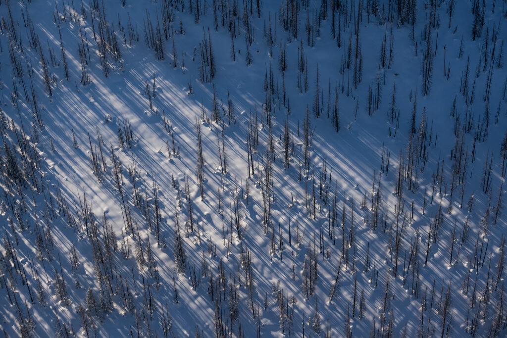 Silvertip Heliskiing – Heliskiing-Touren in British Columbia, Kanada